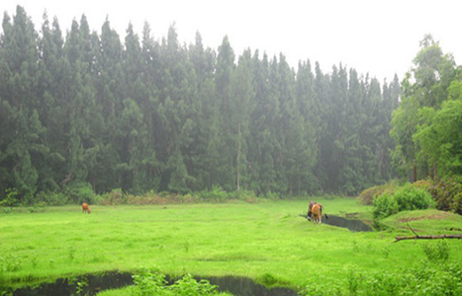 Ngoc Vung island