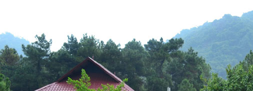 Suoi Goi Eco lodge resort - Halong Bay - Cat Ba island